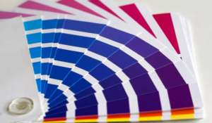 Painting-Your-House-on-a-Budget
